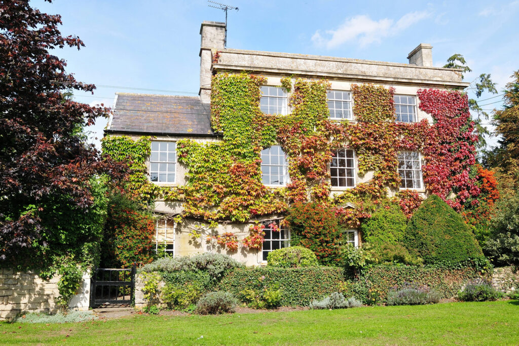 A stone built three storey house with a Virginia Creeper covering much of the facade